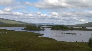 WP_20160728_030